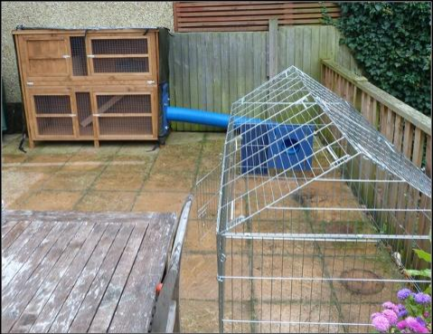 rabbit runs to attach to hutch